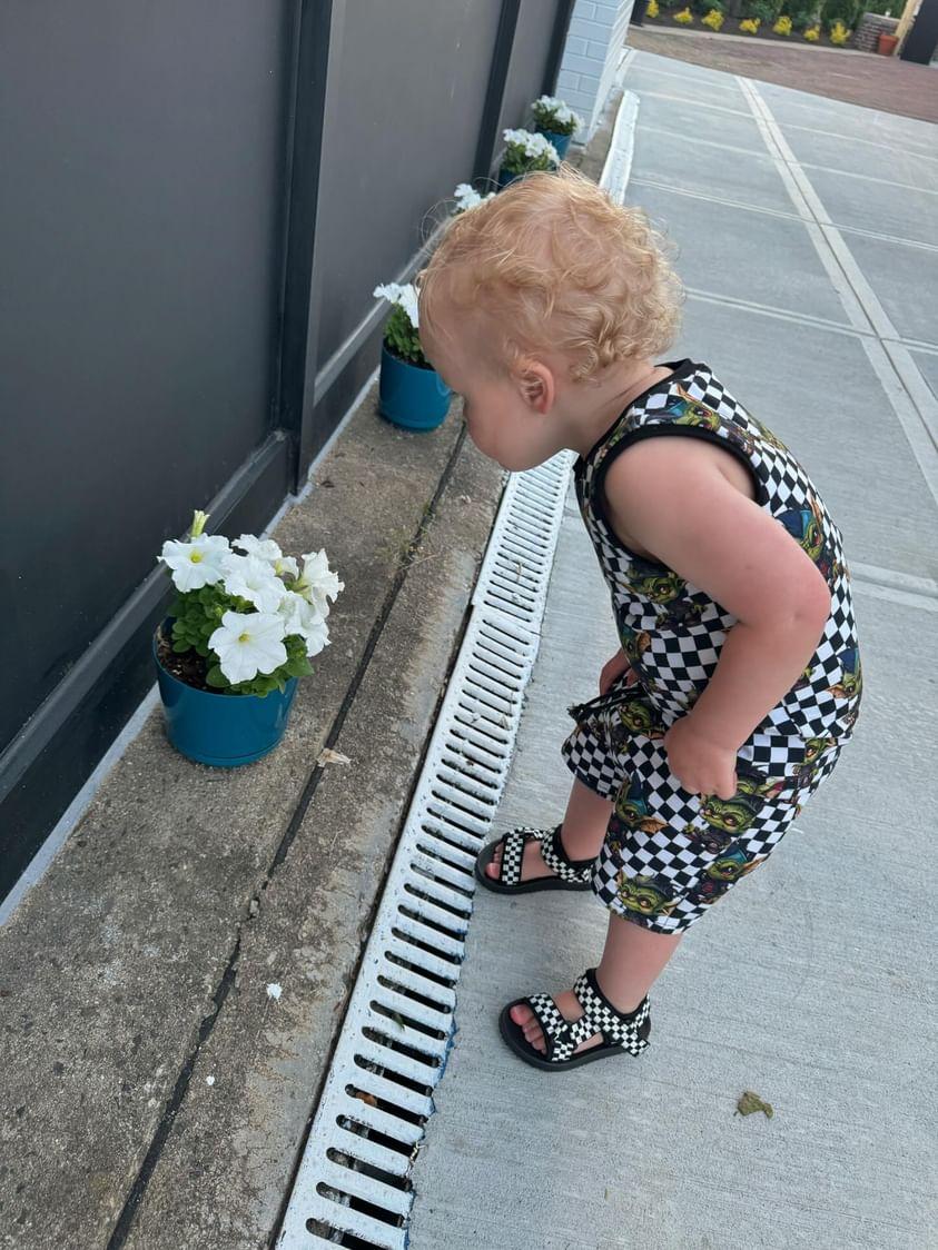 Playday Set - Bunnies, Bones and Bloom - Carrot Crossbones